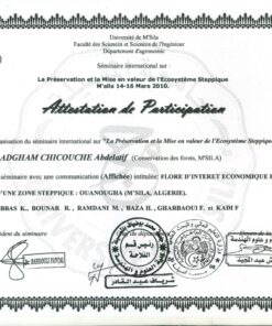 buydegree from the Université Mohamed Boudiaf de M'sila