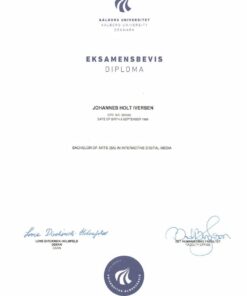 Buy college degree from The Aalborg Universitet