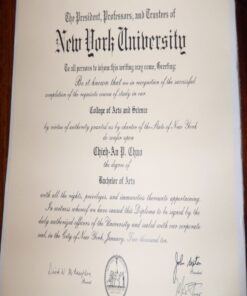 Buy college degree from the  New York University Abu Dhabi