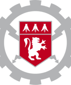 Central School of Lyon