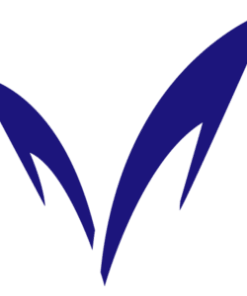 Meiji University