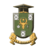 Category Image