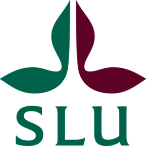 Category Image